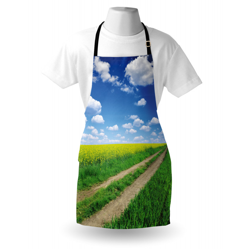 Rapeseeds Field Apron