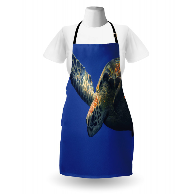 Sea Animal Swimming Apron