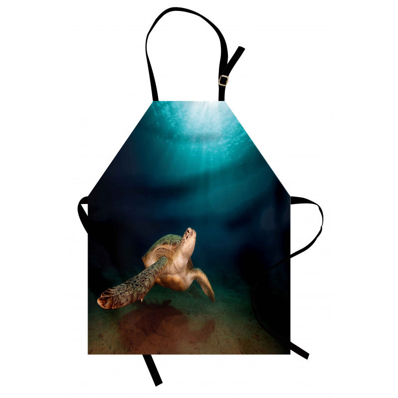 Green Turtle Sunbeam Apron