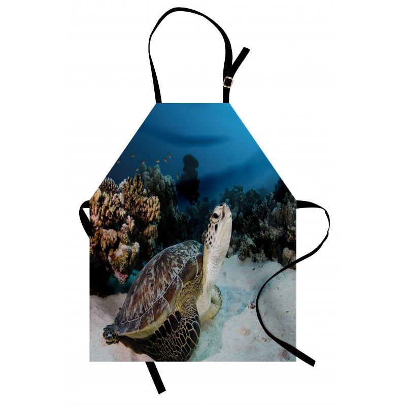 Turtle Coral Reef Apron