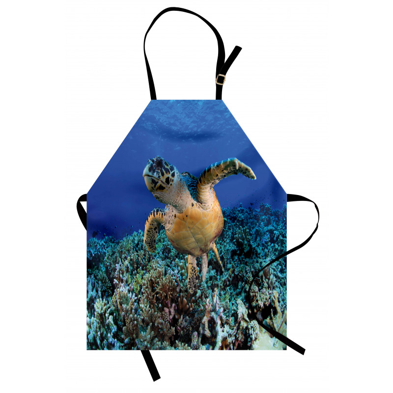 Cheloniidae Deep Ocean Apron