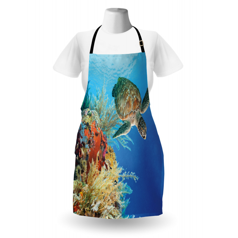 Exotic Turtle Coral Apron