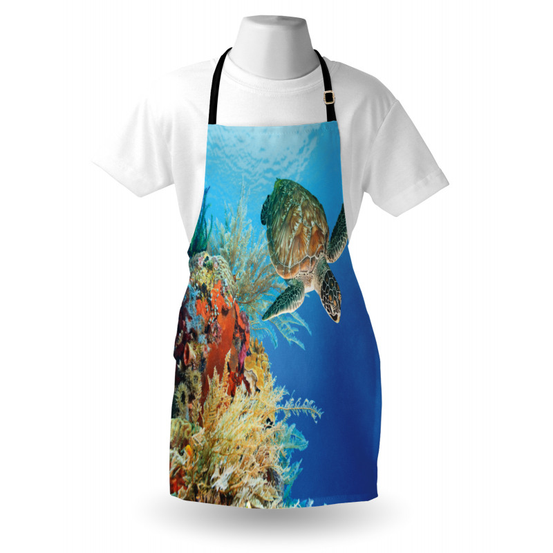 Exotic Turtle Coral Apron