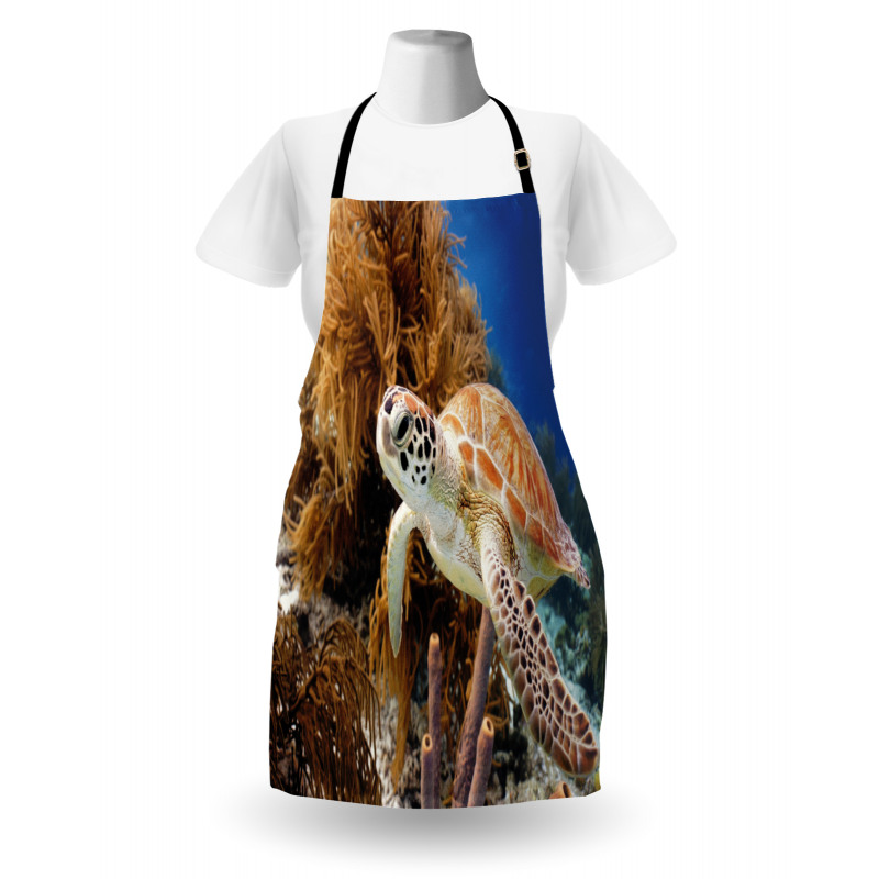 Tropic Waters Coral Reef Apron