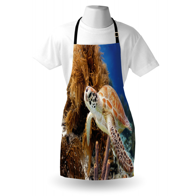 Tropic Waters Coral Reef Apron