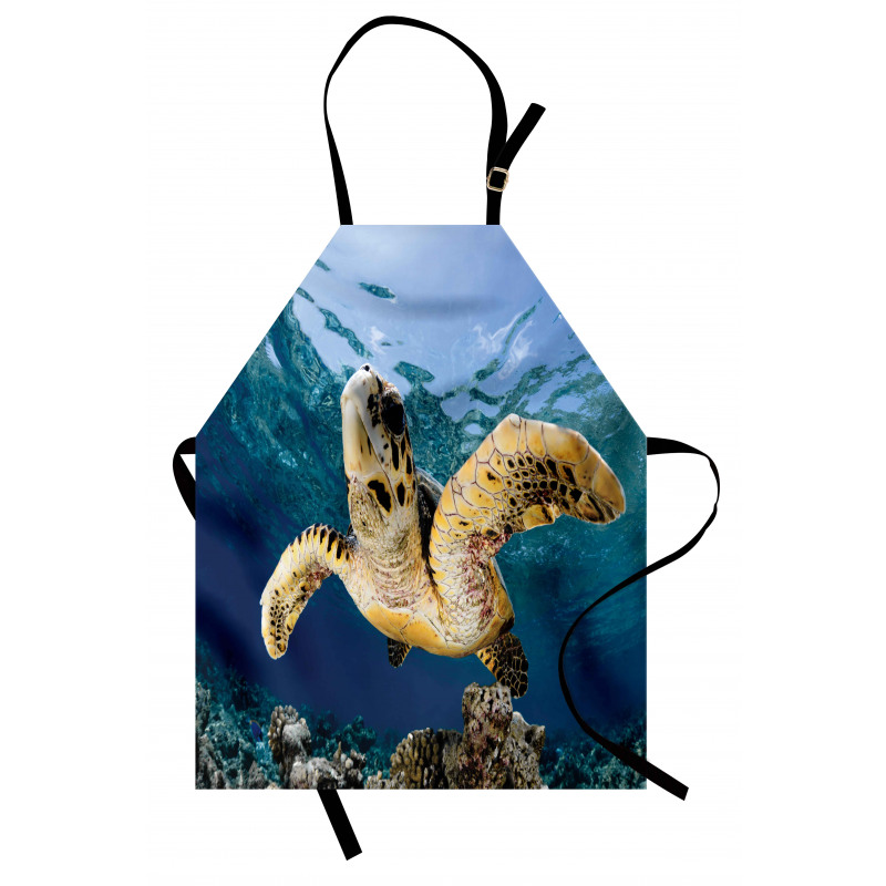 Hawksbill Sea Turtle Apron