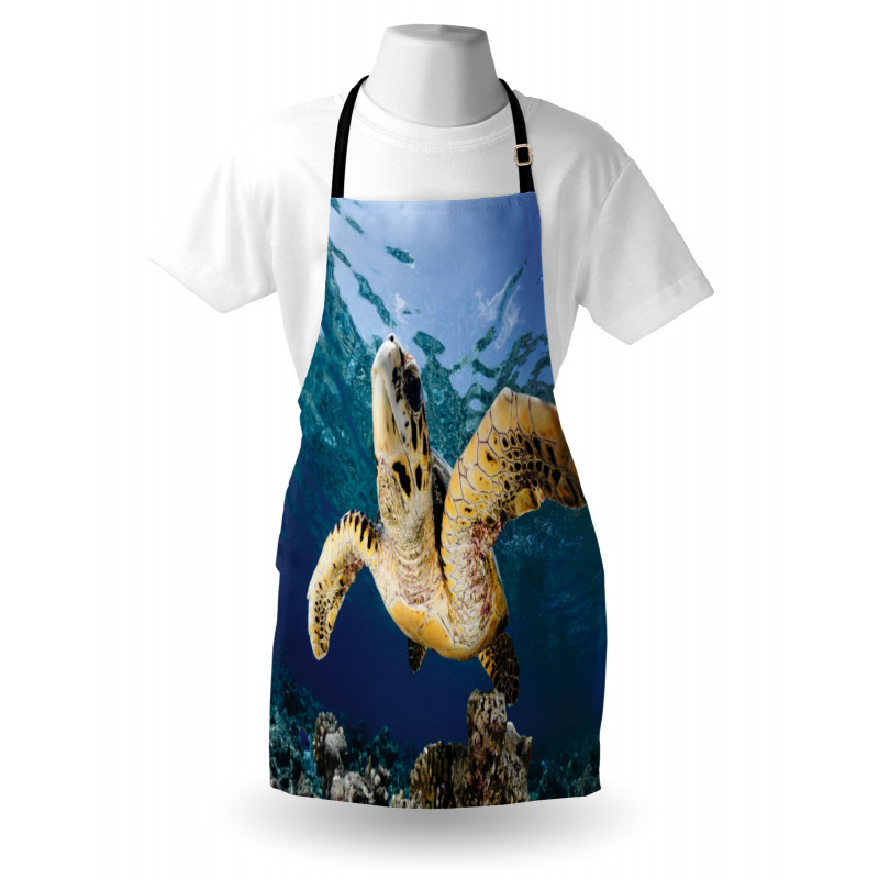 Hawksbill Sea Turtle Apron