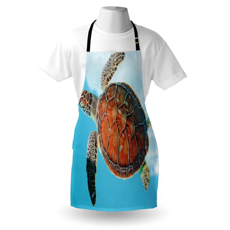 Sea Animal Caribbean Apron