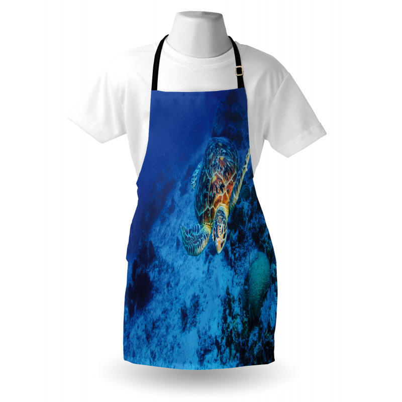 Oceanic Wildlife Apron