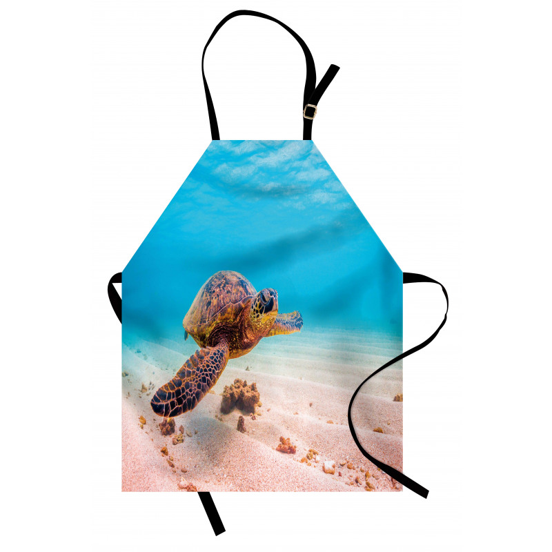 Sea Turtle Underwater Apron