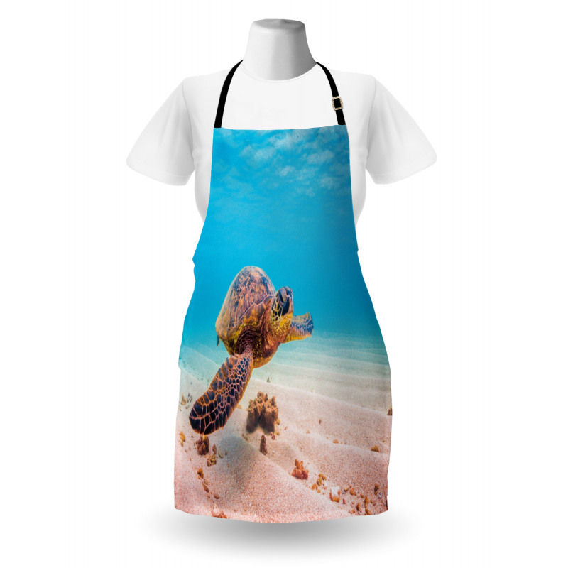 Sea Turtle Underwater Apron