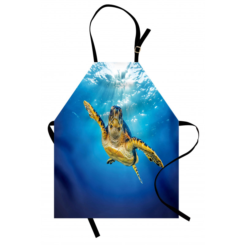 Blue Waters Swimming Apron