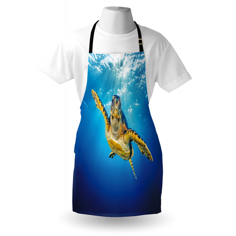 Blue Waters Swimming Apron