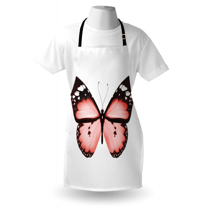 Butterfly Valentines Apron