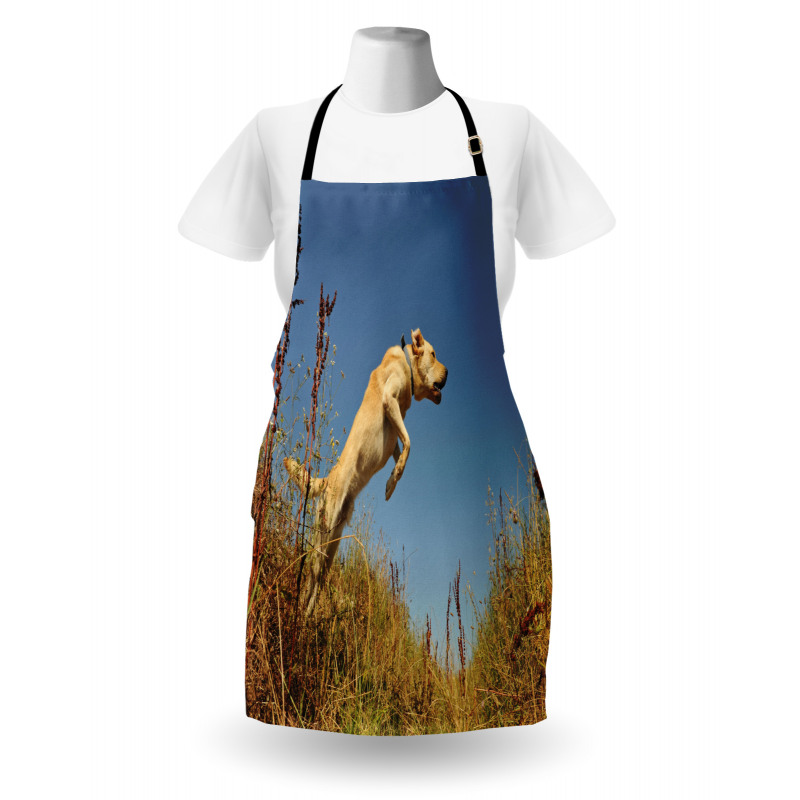 Purebred Labrador Apron