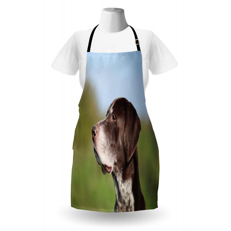 German Pointer Apron