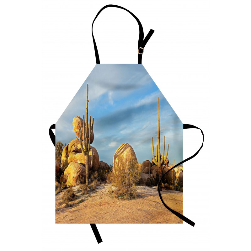 Saguaros Boulders Sunset Apron