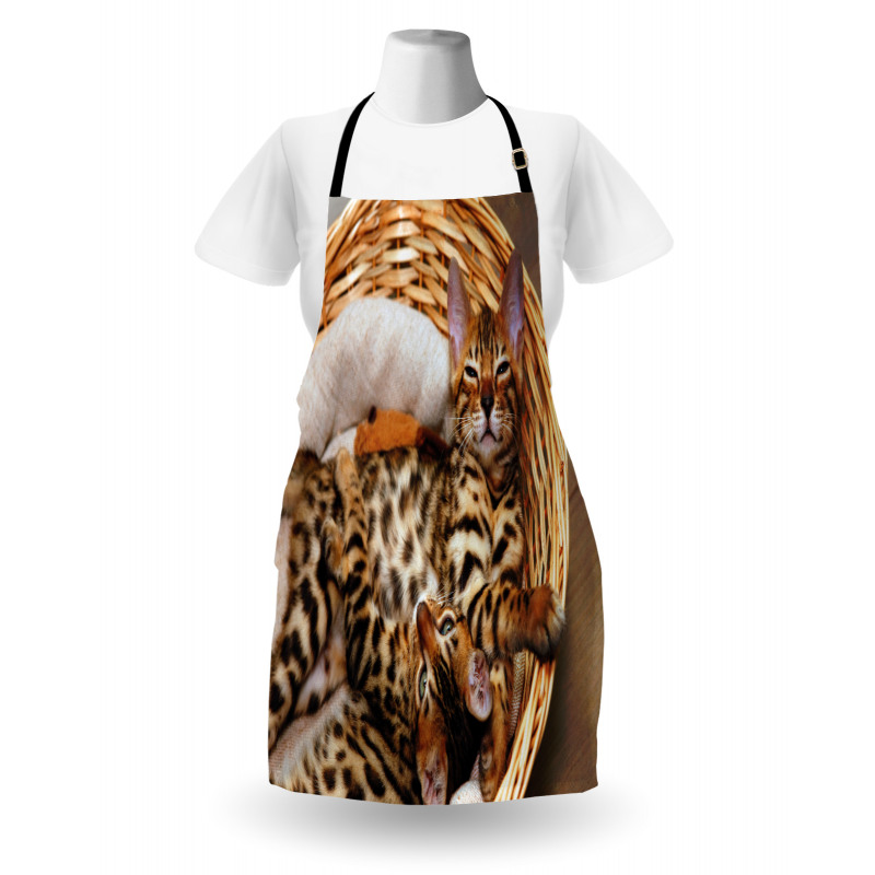 Bengal Cats in Basket Apron