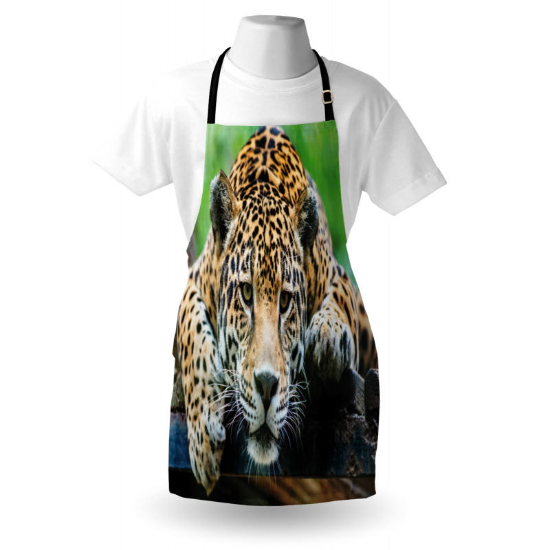 Jaguar Wildcat Feline Apron