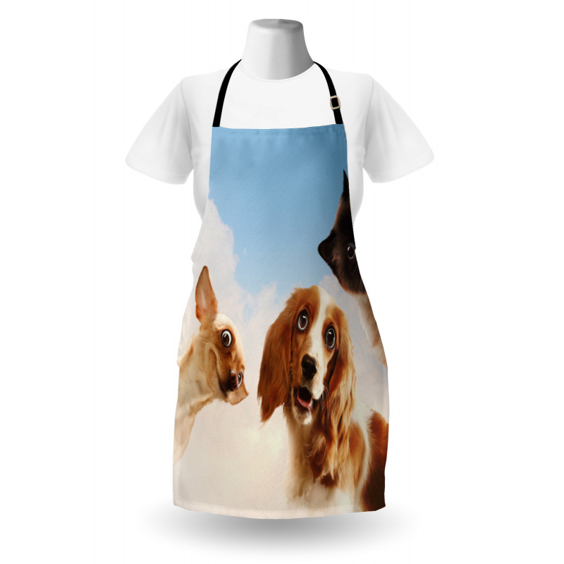 Cats Dogs in Sky Clouds Apron