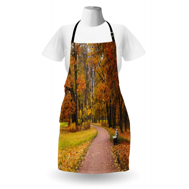 Idyllic Rural Park Woods Apron