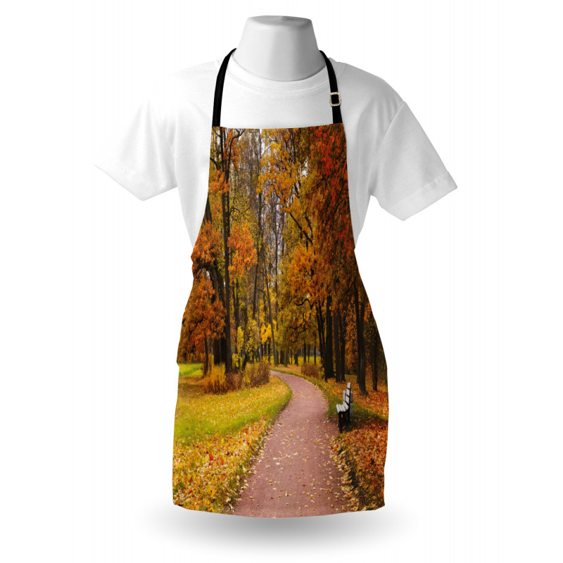 Idyllic Rural Park Woods Apron