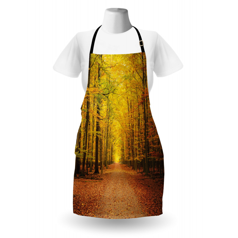 Seasonal Scenic Park Apron