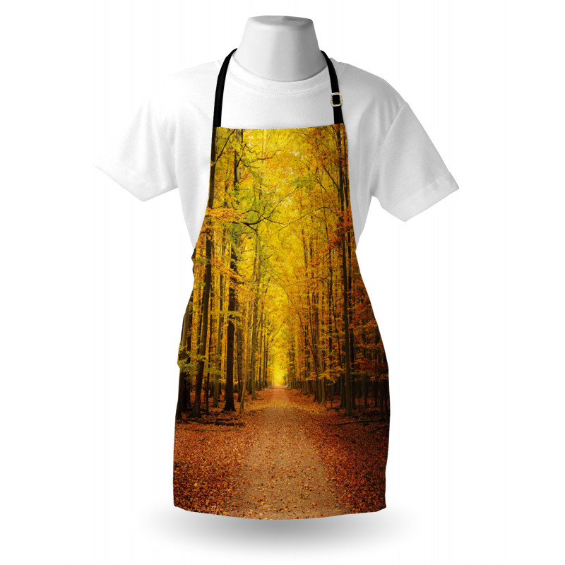 Seasonal Scenic Park Apron