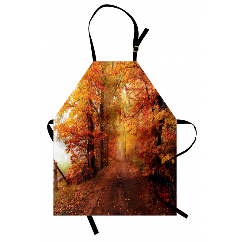 Footpath in Foggy Woods Apron