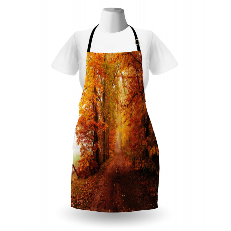 Footpath in Foggy Woods Apron