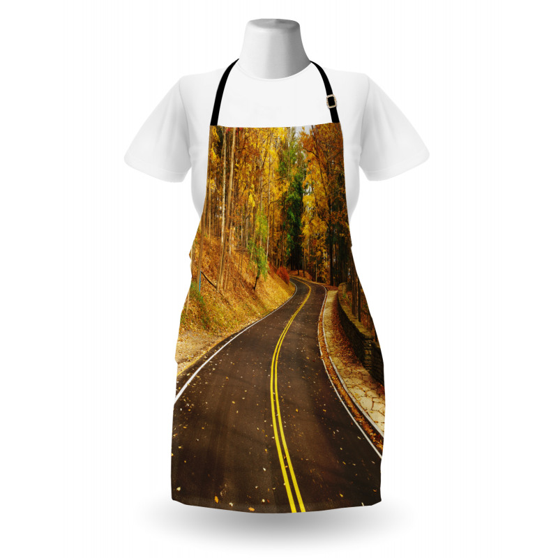 Autumn Scenery Roadway Apron