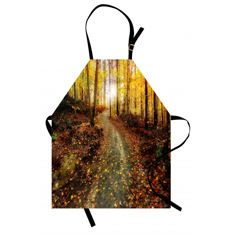 Early Morning in Woodland Apron