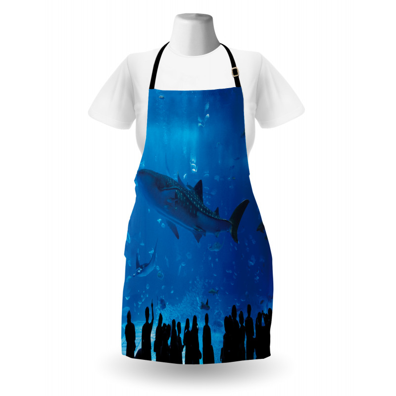 Aquarium Park and People Apron