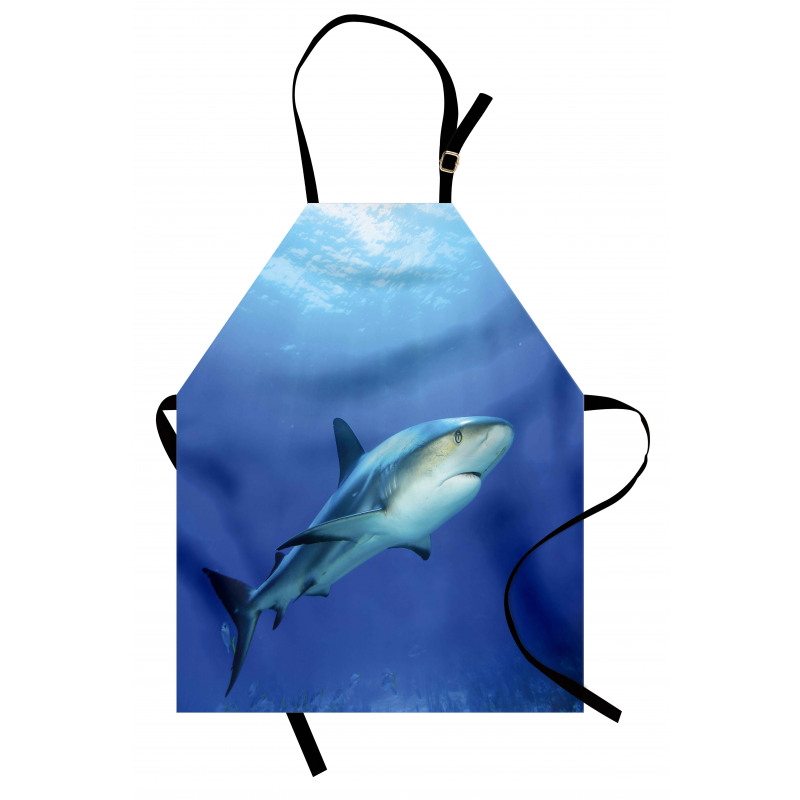 Exotic Dreamy Ocean Life Apron