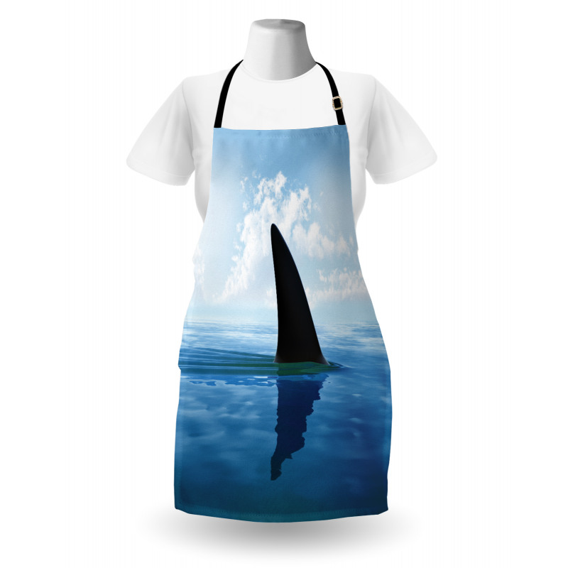 Fin Sea Surface Danger Apron