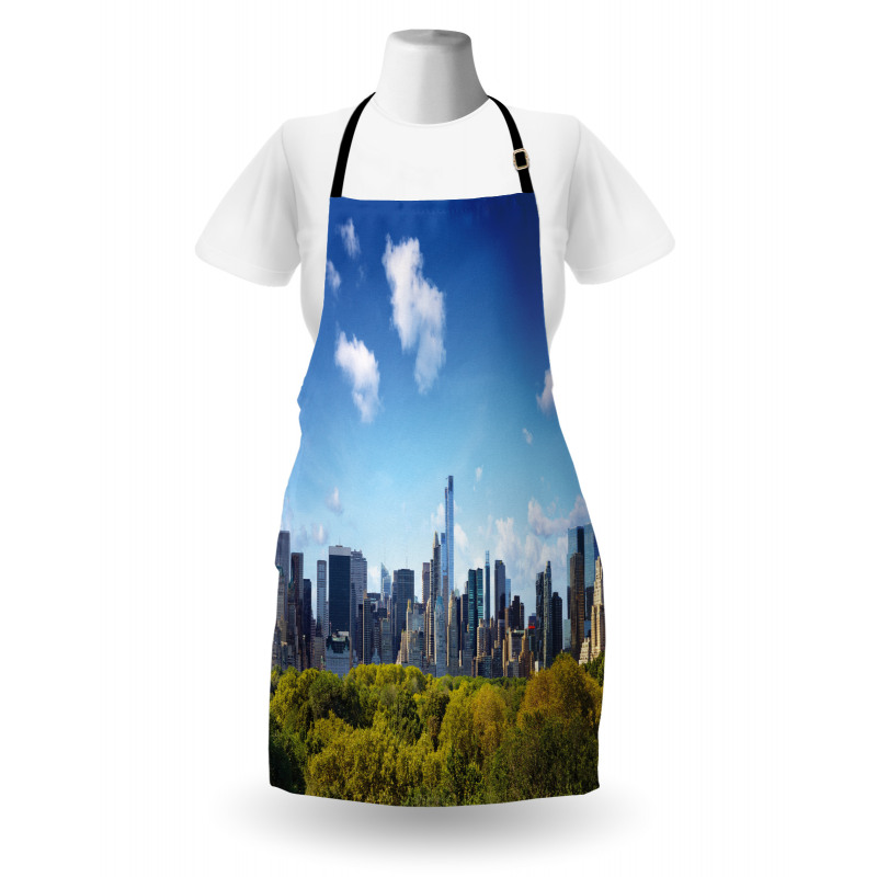 Central Park Midtown NYC Apron