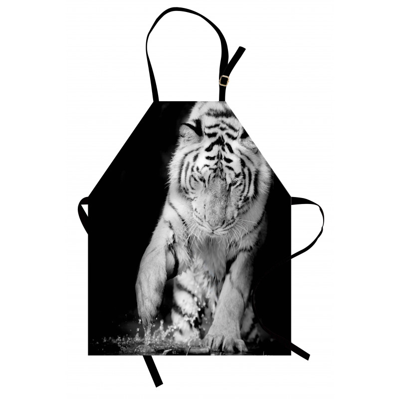 Large Cat Plays in Water Apron