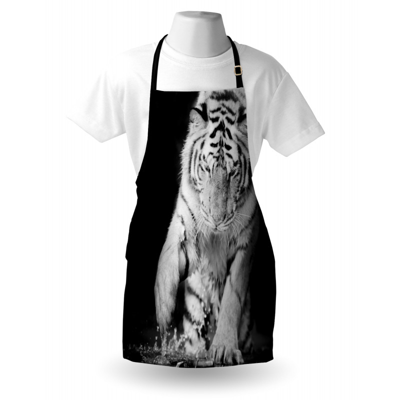 Large Cat Plays in Water Apron