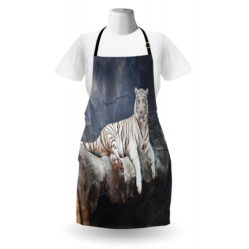 Wildlife Cat on the Rock Apron