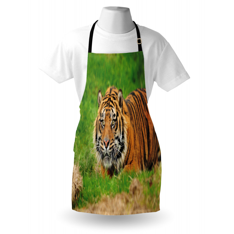 Sumatran Feline Ambush Apron