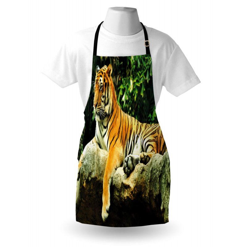 Big Cat Resting in Forest Apron