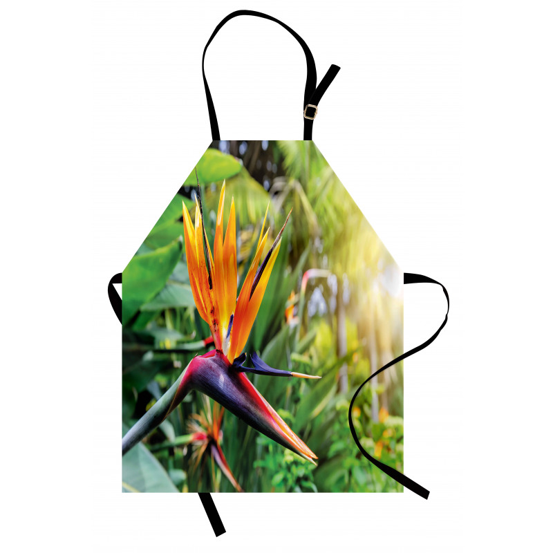 Bird of Paradise Flower Apron