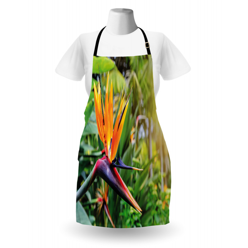 Bird of Paradise Flower Apron