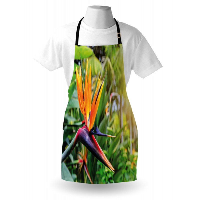 Bird of Paradise Flower Apron