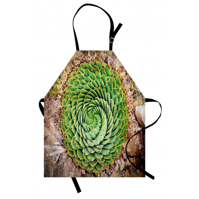 Aloe Polyphylla Vera Apron