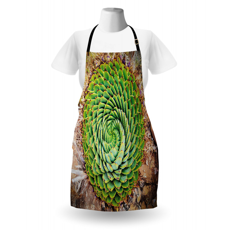 Aloe Polyphylla Vera Apron