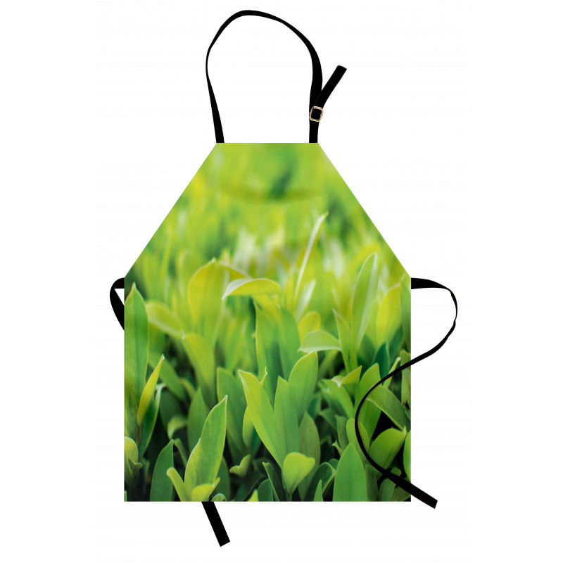 Lush Green Leaves Apron