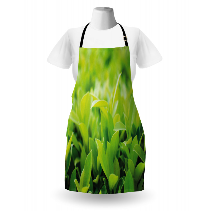 Lush Green Leaves Apron