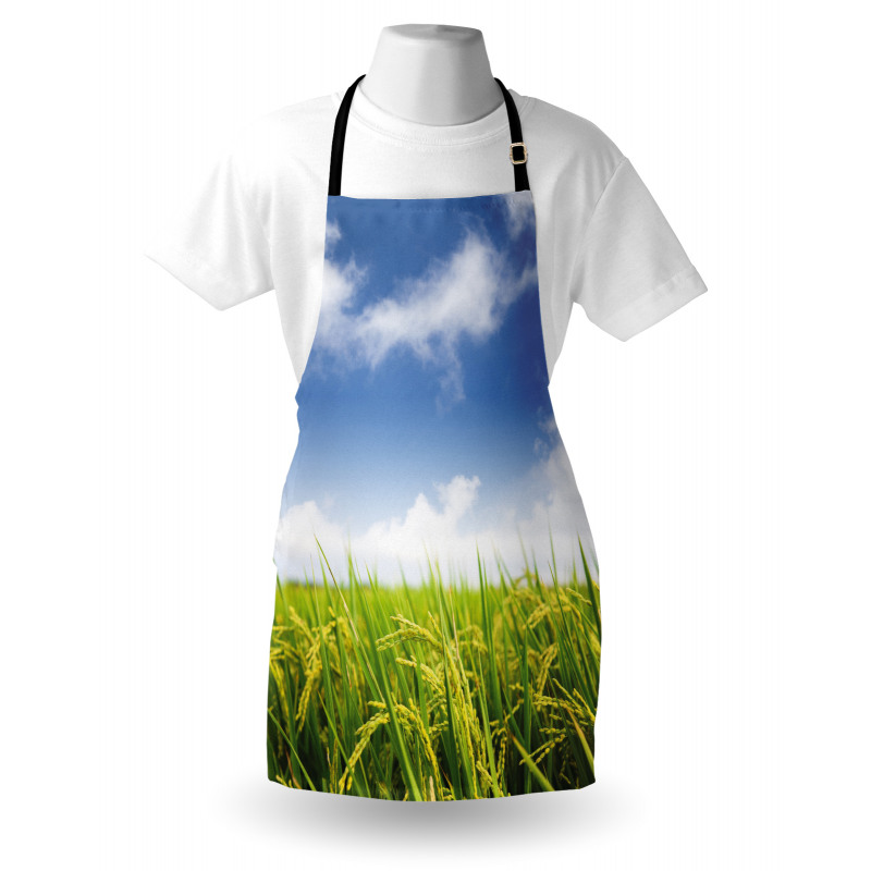 Paddy Rice Field Apron