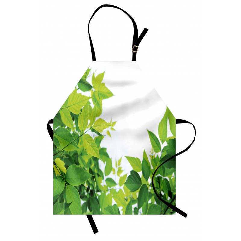 Birth of Nature Apron